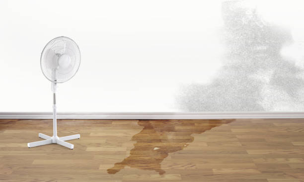Best Carpet water damage restoration  in Victory Lakes, NJ