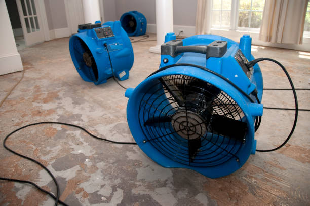 Best Water damage cleanup near me  in Victory Lakes, NJ