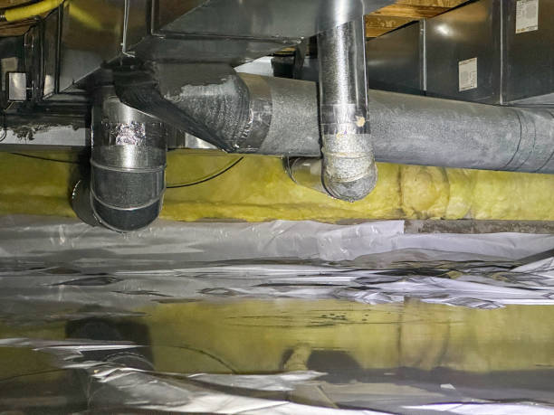 Best Flood damage cleanup  in Victory Lakes, NJ