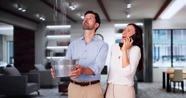 Best Water damage restoration services  in Victory Lakes, NJ