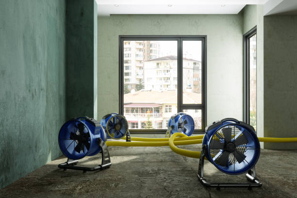 Best Water damage restoration near me  in Victory Lakes, NJ